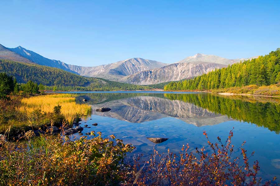 WHAT IS THE RIGHT DIGITAL MARKETING BUDGET FOR A SMALL BUSINESS IN KERALA?